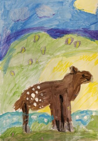 IMG_20260519_160246